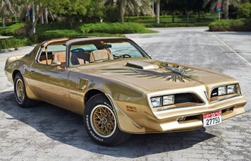 1978 Pontiac Firebird Trans Am Special Edition